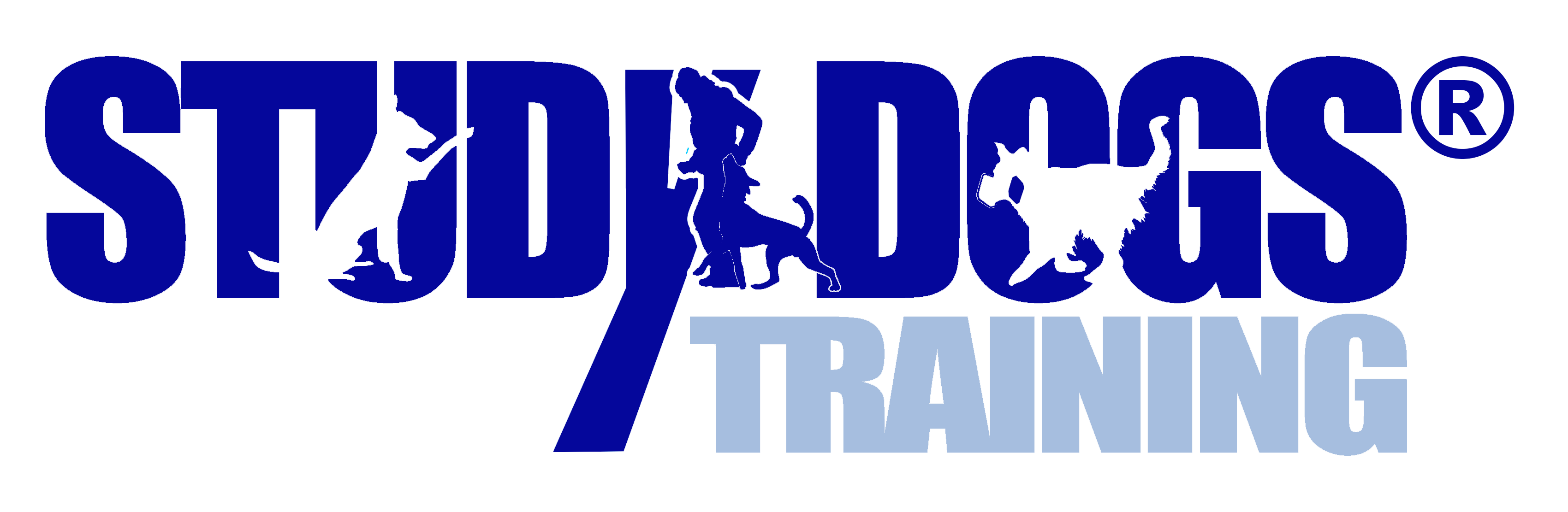 STUDYDOGS – HUNDETRAINING ESSEN