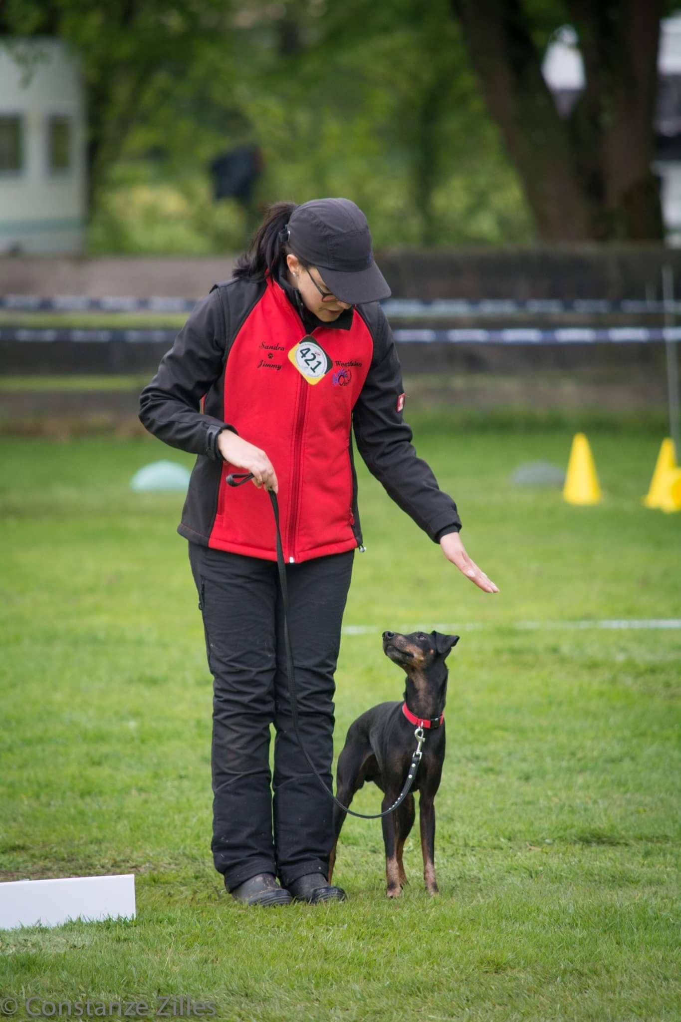 1d66ee4b-f3b4-4da8-a597-153dcaf9fa48