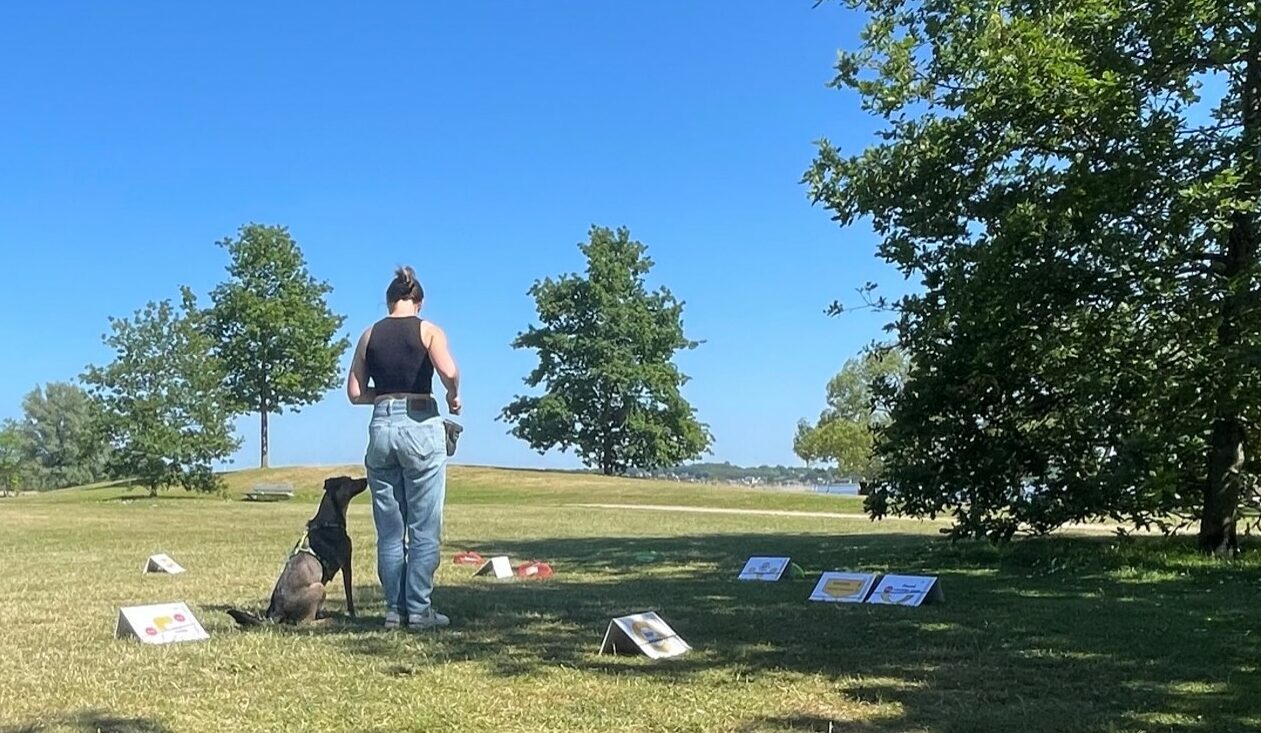 RO_Hintergrund_Webseite